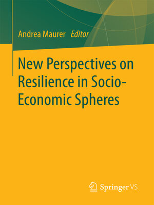 cover image of New Perspectives on Resilience in Socio-Economic Spheres